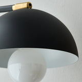 FRED/T < フレッド/t >