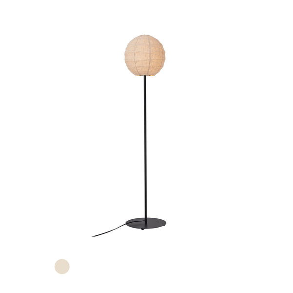 おまとめ専用　フェーブ　12点　フランス おまとめ専用 フェーブ 12点 フランス フランス フェーブ