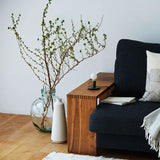 CHEEKS/T < チークス/t >